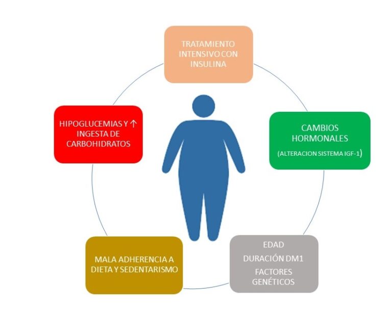 Obesidad Y Diabetes Tipo I C Mo Abordarla Revista Diabetes